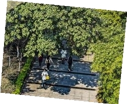 2bbdd29cb8b65e1d986083d82a97416a_yzb0311004_001_04_b.jpg