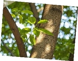 49e6617d4544f0458734afdca7f539d9_yzb0311004_001_02_b.jpg